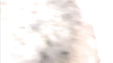 Flic Française te Domine