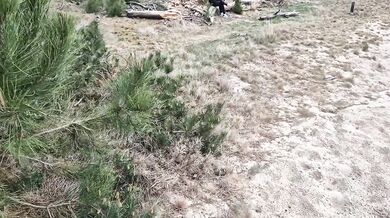 Outdoor Girl Needs Help To Find Her Way Out Of The Dunes ...