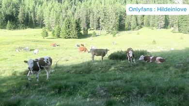 Hildeinlove – Déguisée en vache, elle se fait traire et baiser dans l’herbe