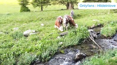 Hildeinlove – Déguisée en vache, elle se fait traire et baiser dans l’herbe