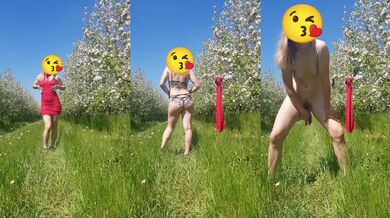 Spring Awakening