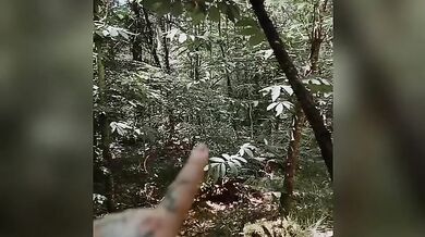 Presque surprise en forêt