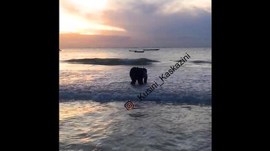 Early morning walk on the beach led to wetness and loud moaning...