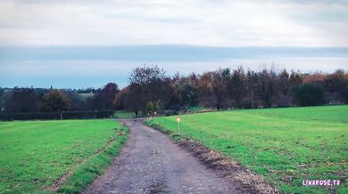 Baisée au milieu des champs comme une bonne petite salope