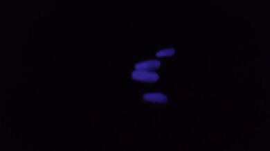 Her Long nails glow in the dark *cumblast/thickcum*