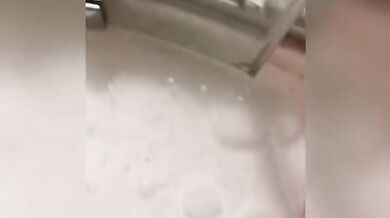 I shave my pussy. I shave my pussy:)