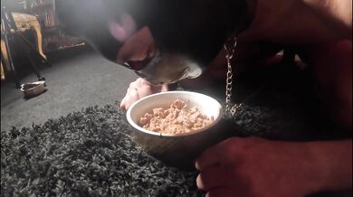 Domina feeds her moth!
