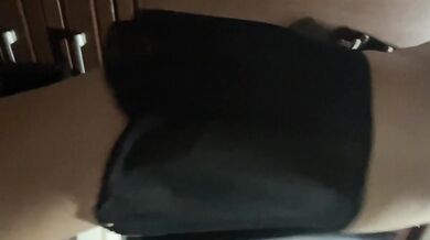 Perrita caliente