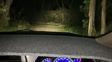 After watching the beautiful sunset, enjoy the slut’s fat butt after peeing