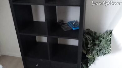 LeafyChaos studio tour!