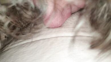 Cheater licks pussy with my fingers in her. Dick cums all in her pussy. Lick again till she cums