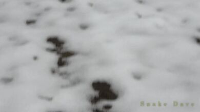 blowjob by snow outdoor