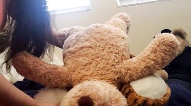 Horny humping teddy bear